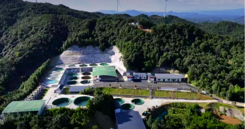 bevictorΰ�¹��� - Τ�¹ٷ���վ